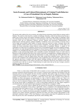 Socio-Economic and Cultural Determinants of Criminal Youth Behavior: a Case of Faisalabad City in Punjab, Pakistan