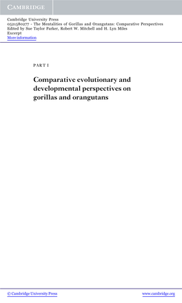 Comparative Evolutionary and Developmental Perspectives on Gorillas and Orangutans