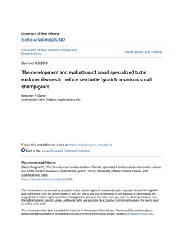 The Development and Evaluation of Small Specialized Turtle Excluder Devices to Reduce Sea Turtle Bycatch in Various Small Shrimp Gears