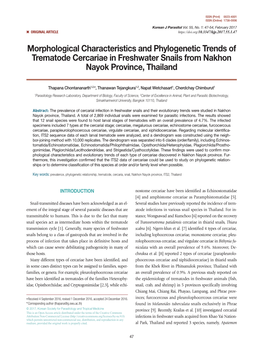 Morphological Characteristics and Phylogenetic Trends of Trematode Cercariae in Freshwater Snails from Nakhon Nayok Province, Thailand