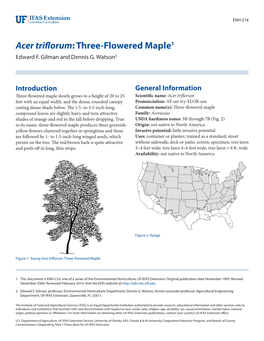 Acer Triflorum: Three-Flowered Maple1 Edward F