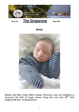 The Grapevine May 2020