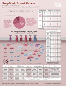 Snapshot: Breast Cancer Kornelia Polyak and Otto Metzger Filho Dana-Farber Cancer Institute and Harvard Medical School, Boston, MA 02215 USA