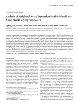 Analysis of Peripheral Nerve Expression Profiles Identifies a Novel Myelin Glycoprotein, MP11