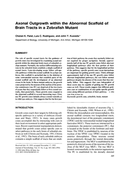 Axonal Outgrowth Within the Abnormal Scaffold of Brain Tracts in a Zebrafish Mutant