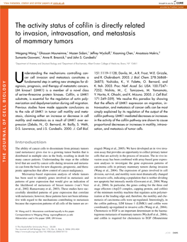 The Activity Status of Cofilin Is Directly Related to Invasion, Intravasation