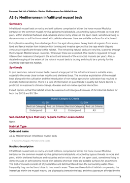 A5.6V Mediterranean Infralittoral Mussel Beds
