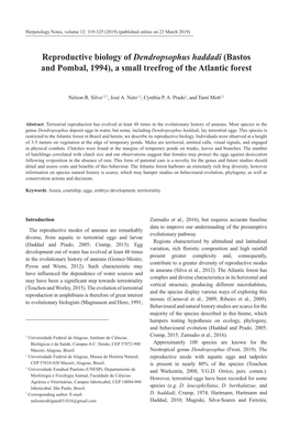 Reproductive Biology of Dendropsophus Haddadi (Bastos and Pombal, 1994), a Small Treefrog of the Atlantic Forest