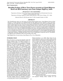 Breeding Ecology of River Tern (Sterna Aurantia) at Ujjani-Bhigwan Reservoir Bird Sanctuary Near Pune-Solapur Highway, India