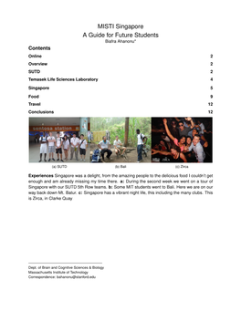 MISTI-Singapore Final Report Draft