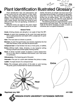 Plant Identification Illustrated Glossary