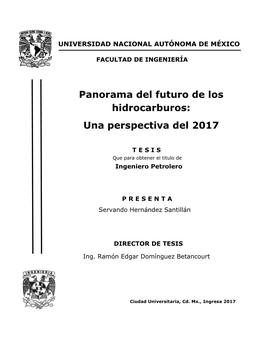 Panorama Del Futuro De Los Hidrocarburos: Una Perspectiva Del 2017