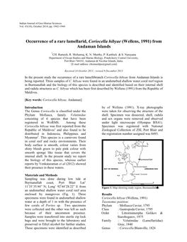 Occurrence of a Rare Lamellarid, Coriocella Hibyae (Wellens, 1991) from Andaman Islands