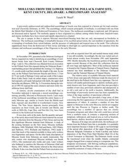 MOLLUSKS from the LOWER MIOCENE POLLACK FARM SITE, KENT COUNTY, DELAWARE: a PRELIMINARY ANALYSIS1 Lauck W