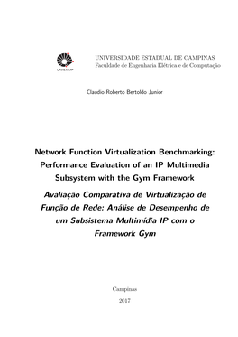 Network Function Virtualization Benchmarking: Performance Evaluation of an IP Multimedia Subsystem with the Gym Framework Avalia