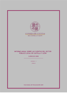 Informe Anual Sobre Las Cuentas Del Sector Público Local De Castilla Y León