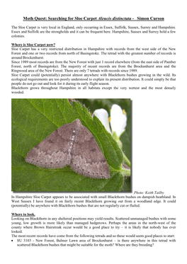 Moth Quest: Searching for Sloe Carpet Aleucis Distinctata - Simon Curson