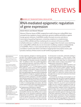 RNA-Mediated Epigenetic Regulation of Gene Expression