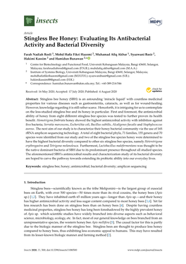 Stingless Bee Honey: Evaluating Its Antibacterial Activity and Bacterial Diversity