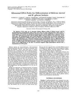 Ribosomal DNA Probe for Differentiation of Babesia Microti and B