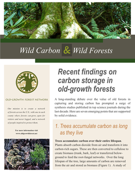 Recent Findings on Carbon Storage in Old-Growth Forests