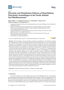 Diversity and Distribution Patterns of Hard Bottom Polychaete Assemblages in the North Adriatic Sea (Mediterranean)