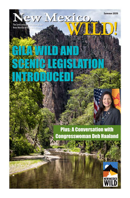 A Conversation with Congresswoman Deb Haaland