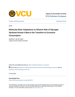 Role of Glycogen Synthase Kinase-3 Beta in the Transition to Excessive Consumption