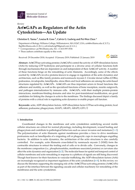 Arfgaps As Regulators of the Actin Cytoskeleton—An Update