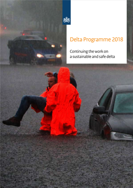 Delta Programme 2018