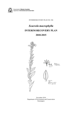 Scaevola Macrophylla Interim Recovery Plan No