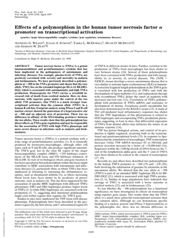 Effects of a Polymorphism in the Human Tumor Necrosis Factor