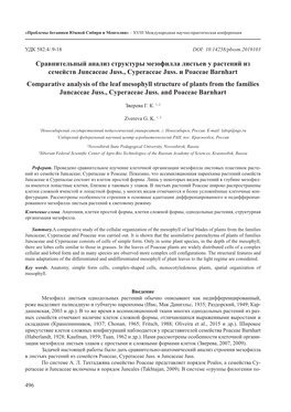 Сравнительный Анализ Структуры Мезофилла Листьев У Растений Из Семейств Juncaceae Juss., Cyperaceae Juss