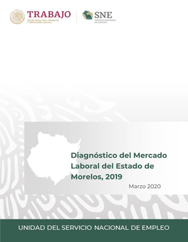Diagnóstico Del Mercado Laboral Del Estado De Morelos, 2019