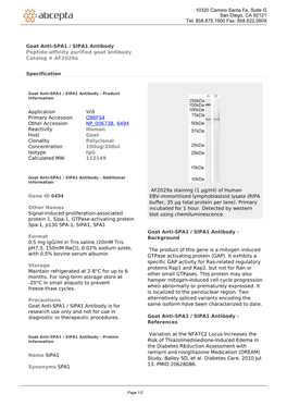 Goat Anti-SPA1 / SIPA1 Antibody Peptide-Affinity Purified Goat Antibody Catalog # Af2029a