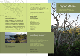 Phytophthora and Vegetation Dieback Brochure