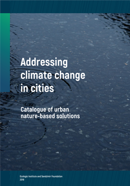 Addressing Climate Change in Cities