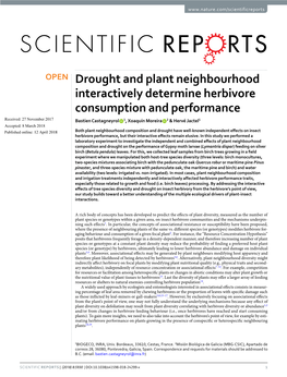 Drought and Plant Neighbourhood Interactively Determine Herbivore Consumption and Performance