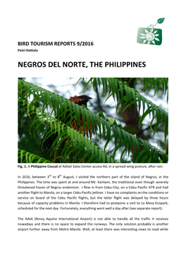 Negros Del Norte, the Philippines