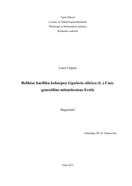 Reliktse Hariliku Kobarpea Ligularia Sibirica (L.) Cass