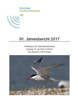 91. Jahresbericht 2017