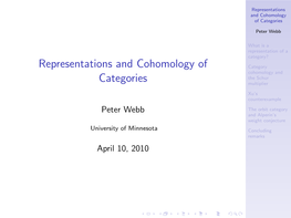 Representations and Cohomology of Categories