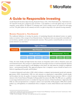Microrate White Paper- a Guide to Responsible Investing[1]