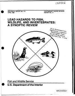 Lead Hazards to Fish, Wildlife and Invertebrates: a Synoptic Review. US