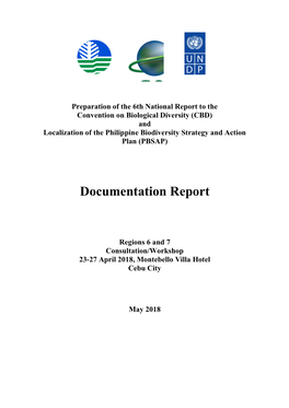 Documentation Report