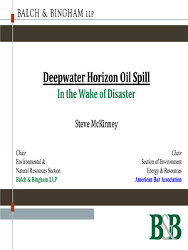 Deepwater Horizon Oil Spill in the Wake of Disaster