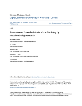 Attenuation of Doxorubicin-Induced Cardiac Injury by Mitochondrial Glutaredoxin