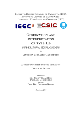 Observation and Interpretation of Type Iib Supernova Explosions by Antonia Morales Garoffolo