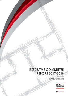 Executive Committee Report 2017-2018 ______