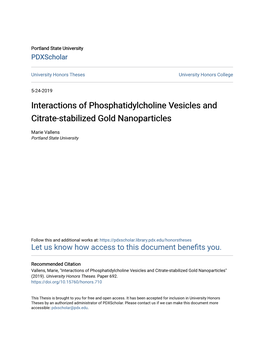 Interactions of Phosphatidylcholine Vesicles and Citrate-Stabilized Gold Nanoparticles